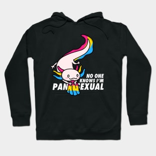 No One Knows I'm Pansexual Hoodie